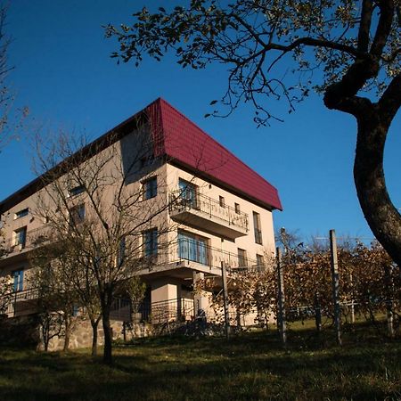 Hotel Panoramic à Baia Sprie Extérieur photo