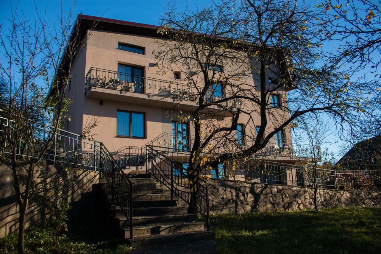 Hotel Panoramic à Baia Sprie Extérieur photo