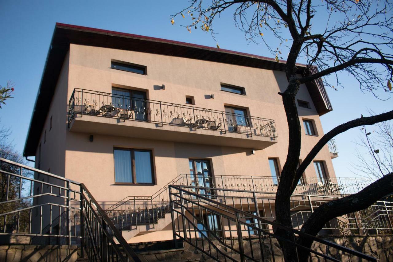 Hotel Panoramic à Baia Sprie Extérieur photo