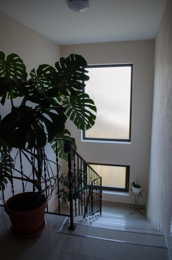 Hotel Panoramic à Baia Sprie Extérieur photo
