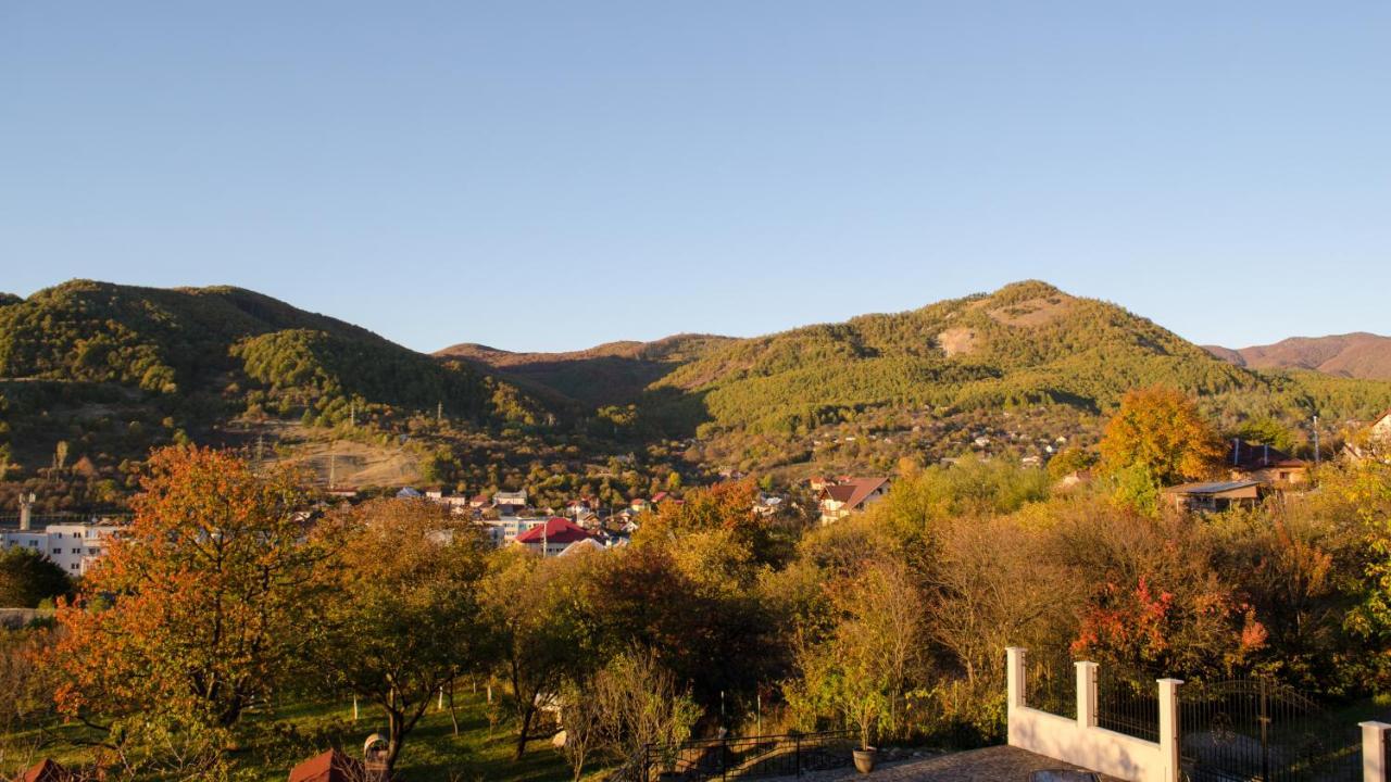 Hotel Panoramic à Baia Sprie Extérieur photo